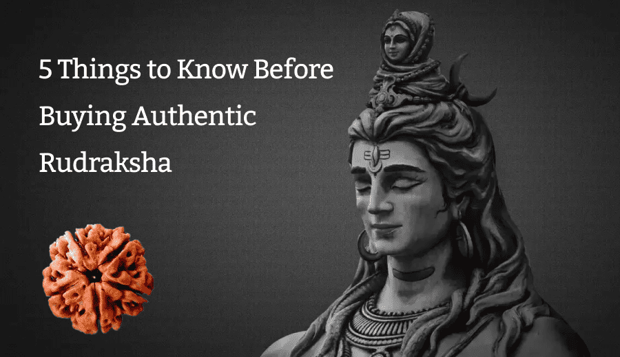 5 Things to Know Before Buying Authentic Rudraksha