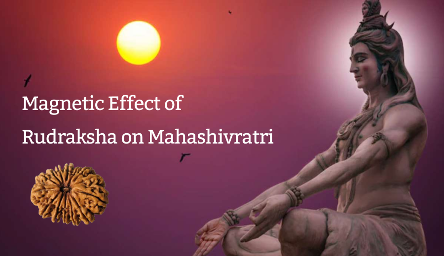 Magnetic Effect of Rudraksha on Mahashivratri