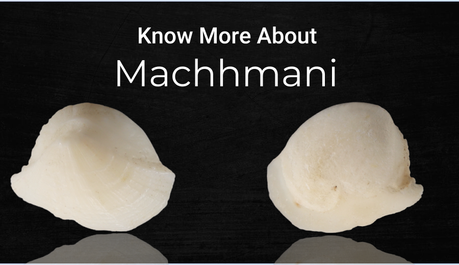 Know More About Machhmani