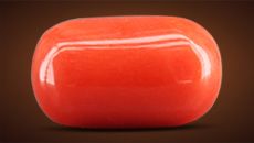 Moonga Stone - Red Coral Christmas Gem