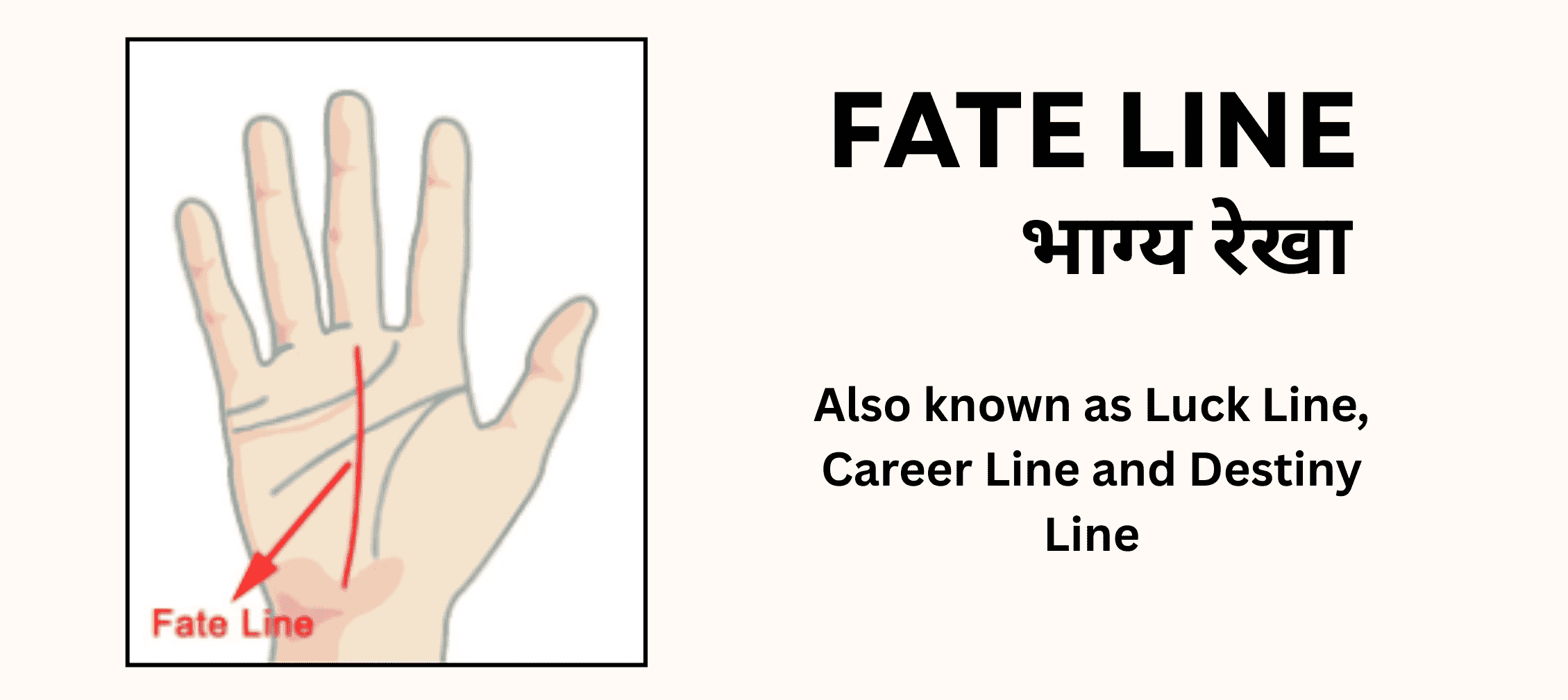 Fate Line in Palmistry- Meaning, Types and Gemstone Remedies