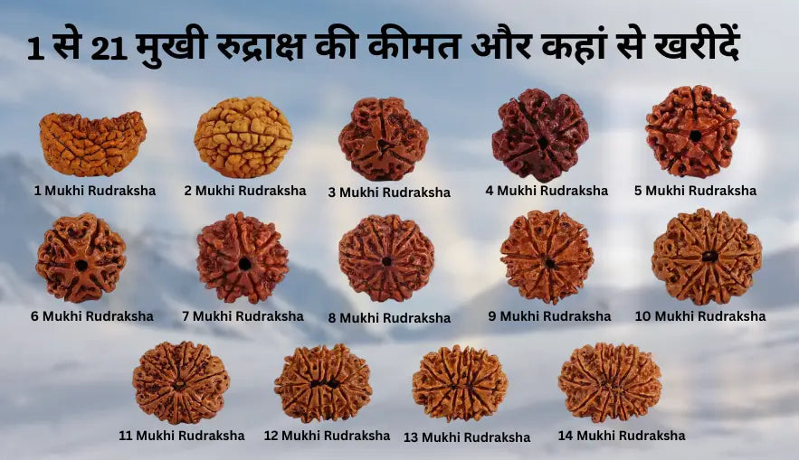 1 से 21 मुखी रुद्राक्ष की कीमत और कहां से खरीदें