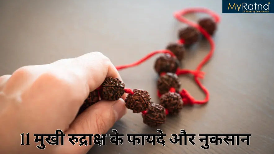 11 मुखी रुद्राक्ष के फायदे और नुकसान | 11 Mukhi Rudraksha Benefits in Hindi