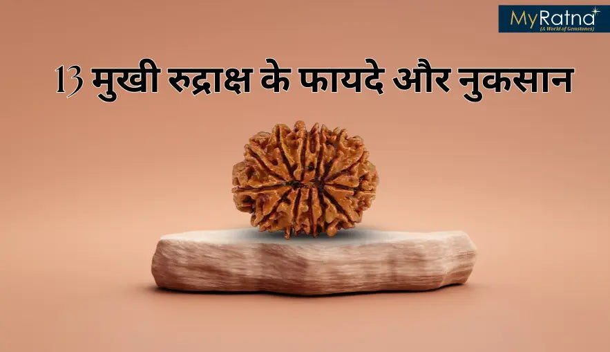 13 मुखी रुद्राक्ष के फायदे और नुकसान | 13 Mukhi Rudraksha Benefits in Hindi