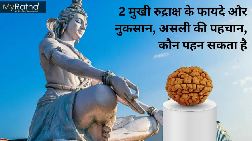 दो मुखी रुद्राक्ष के फायदे, नियम और नुकसान | 2 Mukhi Rudraksha Benefits in Hindi