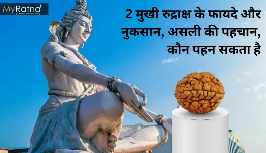 दो मुखी रुद्राक्ष के फायदे, नियम और नुकसान | 2 Mukhi Rudraksha Benefits in Hindi