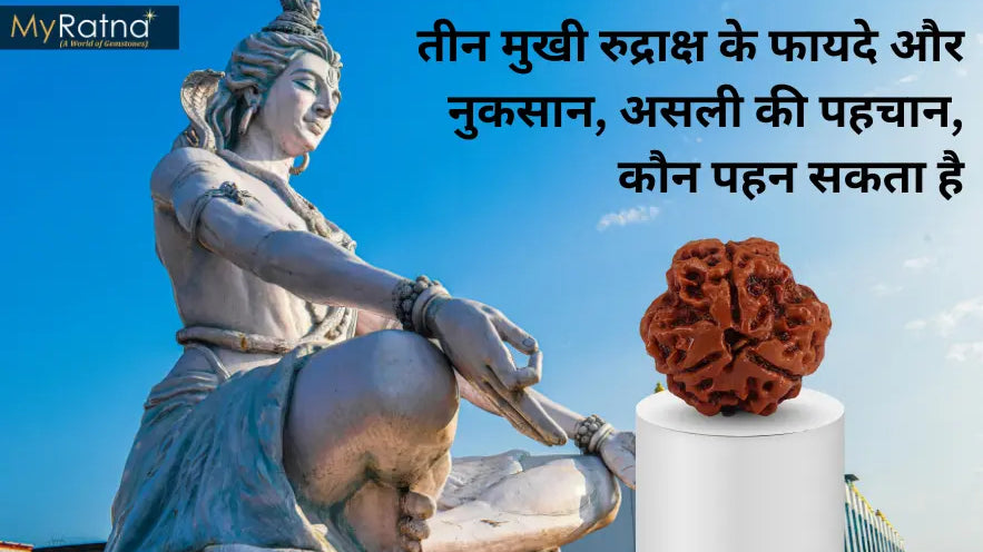 तीन मुखी रुद्राक्ष के फायदे और नुकसान | 3 Mukhi Rudraksha Benefits in Hindi