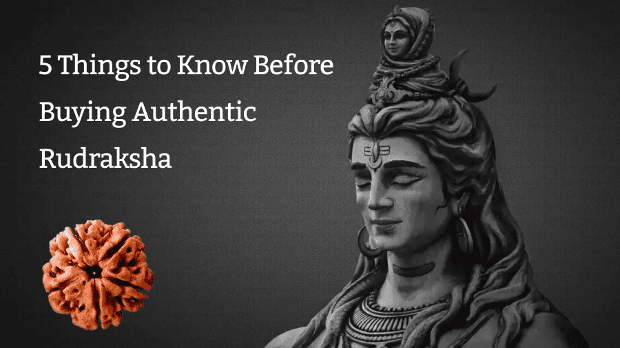5 Things to Know Before Buying Authentic Rudraksha
