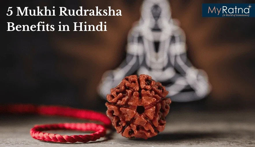 पंचमुखी रुद्राक्ष पहनने के फायदे और नुकसान एवं नियम | 5 Mukhi Rudraksha Benefits in Hindi