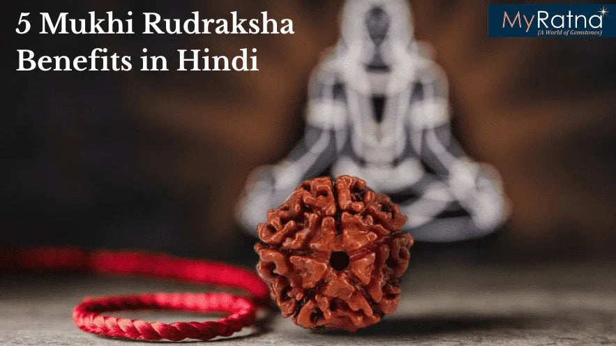 पंचमुखी रुद्राक्ष पहनने के फायदे और नुकसान एवं नियम | 5 Mukhi Rudraksha Benefits in Hindi