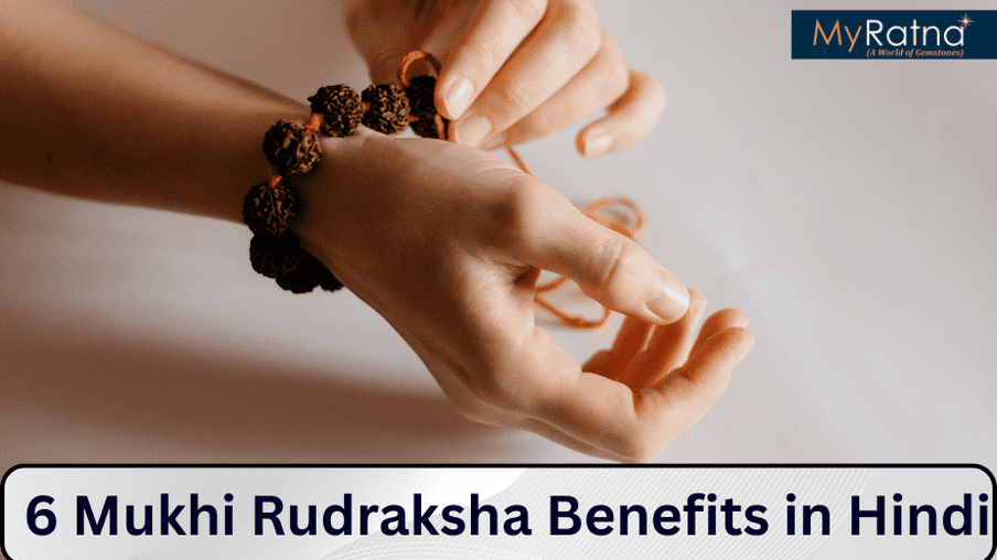 6 मुखी रुद्राक्ष के फायदे और नुकसान, नियम | 6 Mukhi Rudraksha Benefits