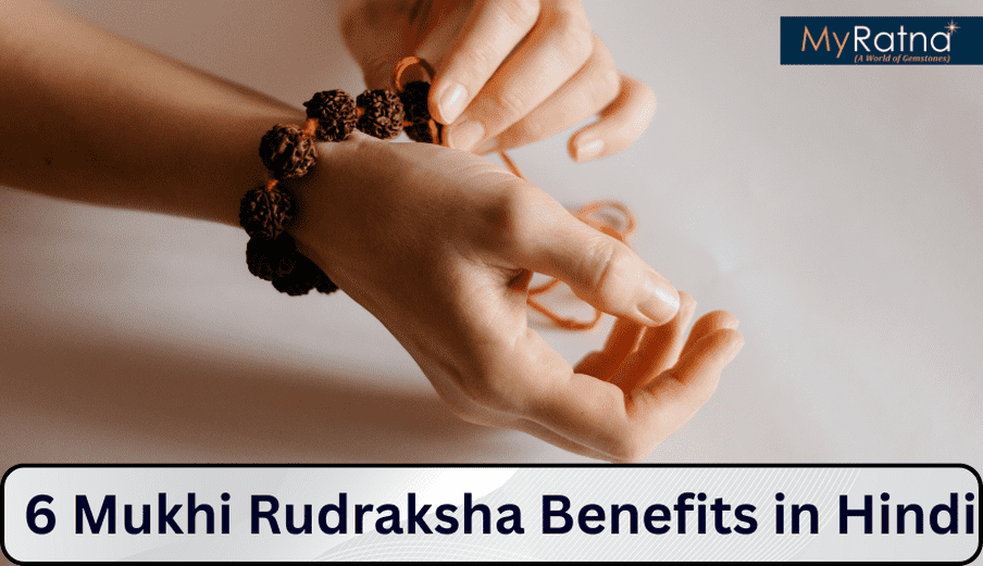 6 मुखी रुद्राक्ष के फायदे और नुकसान, नियम | 6 Mukhi Rudraksha Benefits