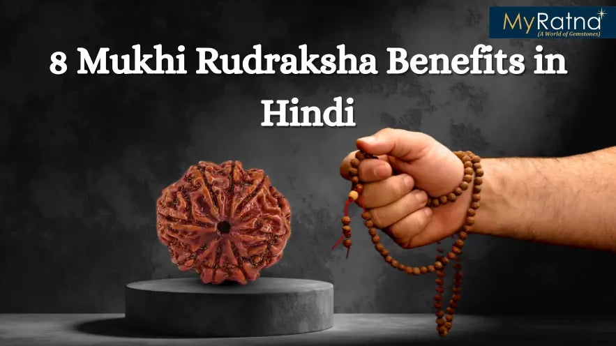 8 मुखी रुद्राक्ष के फायदे और नुकसान | 8 Mukhi Rudraksha Benefits in Hindi