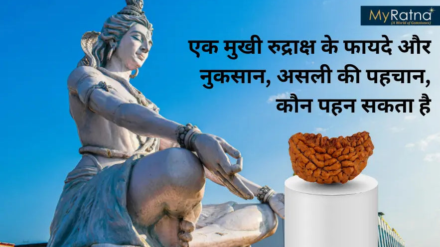 एक मुखी रुद्राक्ष पहनने के फायदे और नुकसान एवं नियम | 1 Mukhi Rudraksha Benefits in Hindi