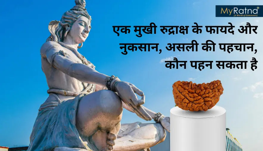 एक मुखी रुद्राक्ष पहनने के फायदे और नुकसान एवं नियम | 1 Mukhi Rudraksha Benefits in Hindi