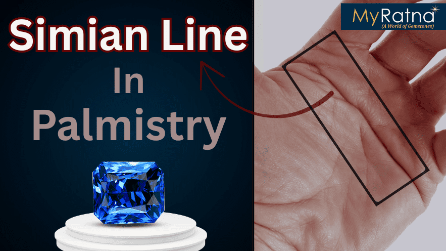 Simian Line: Meaning, Personality, Remedies, and Diseases Linked to the Transverse Palmar Crease