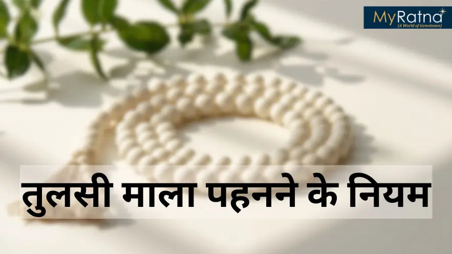 तुलसी माला पहनने के नियम: आप भी पहन रहे हैं तुलसी माला, तो इन बातों का रखें ध्यान, मिलेगा शुभ फल | Tulsi Mala Ke Niyam Aur Fayde