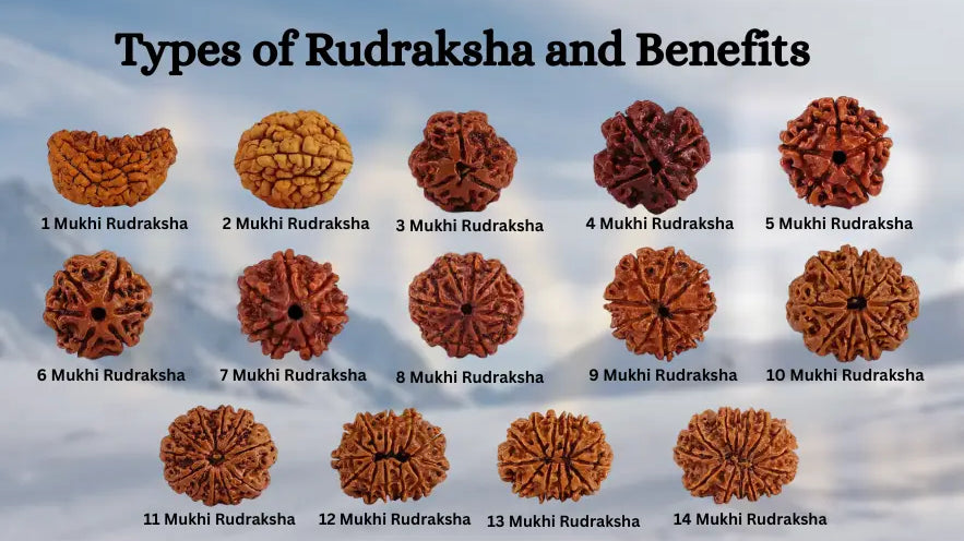 1 to 21 Mukhi Rudraksha Benefits