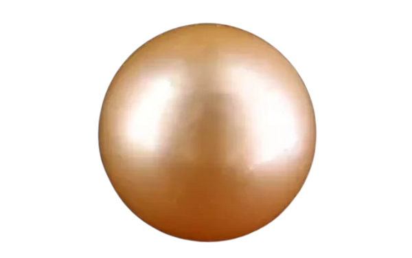 South Sea Pearl
