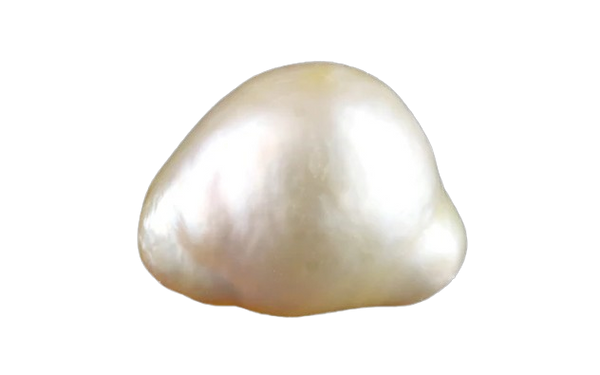 Venezuela Pearl (Moti)