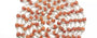 5 Mukhi Nepali Rudraksha 925 Sterling Silver Mala - 4 MM