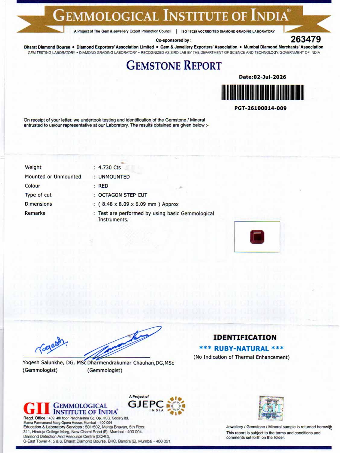 Ruby - 4.73 Carat