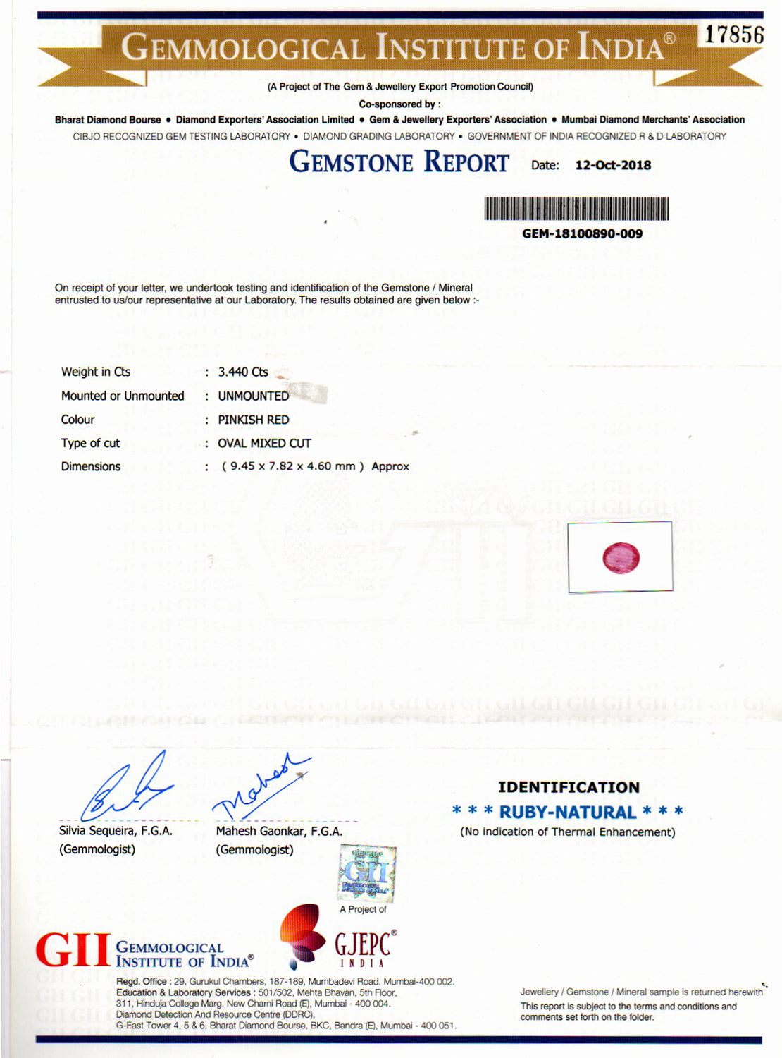 Ruby - 3.44 Carat