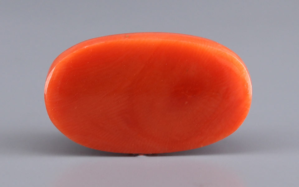 Red Coral - 26.38 Carat (29.15 Ratti - Moonga)
