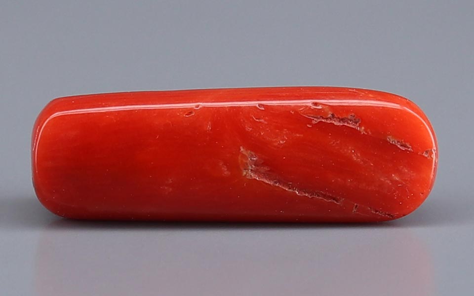 Red Coral - 6.38 Carat (7.05 Ratti - Moonga)