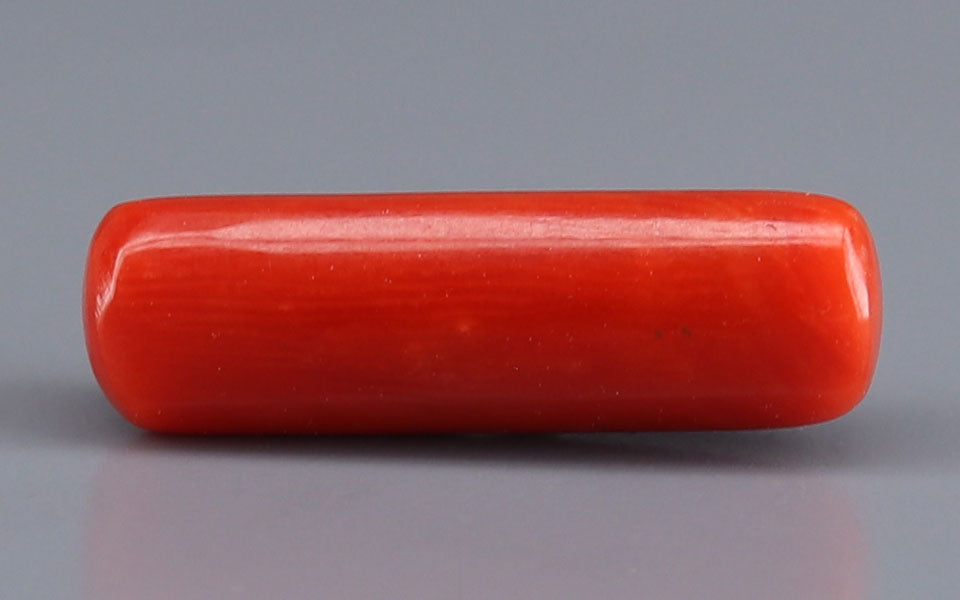 Red Coral - 6.05 Carat (6.69 Ratti - Moonga)