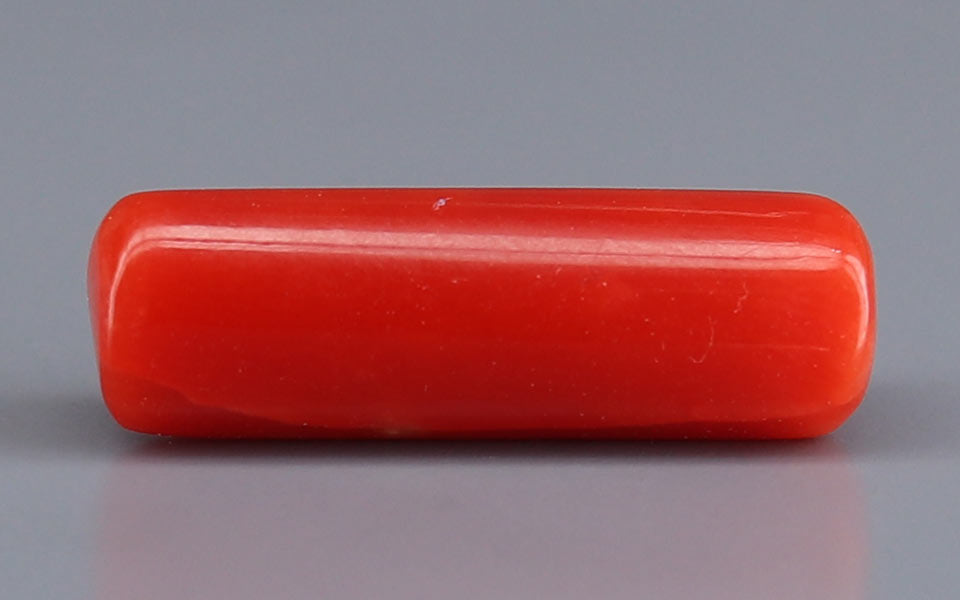 Red Coral - 5.67 Carat (6.27 Ratti - Moonga)
