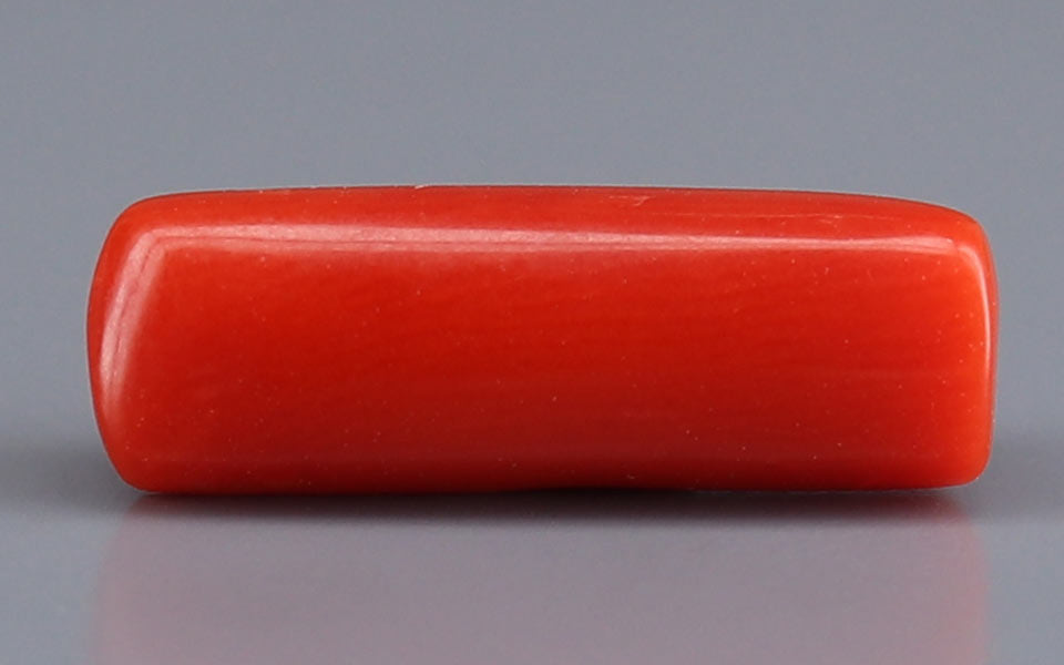 Red Coral - 4.38 Carat (4.84 Ratti - Moonga)