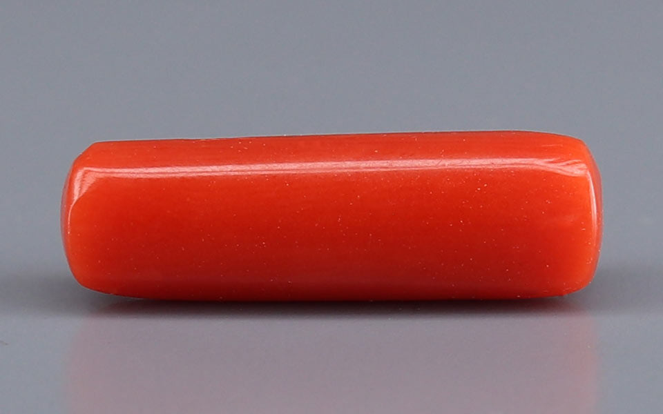 Red Coral - 5.51 Carat (6.09 Ratti - Moonga)