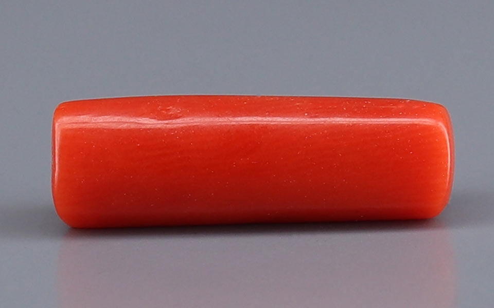 Red Coral - 4.72 Carat (5.22 Ratti - Moonga)