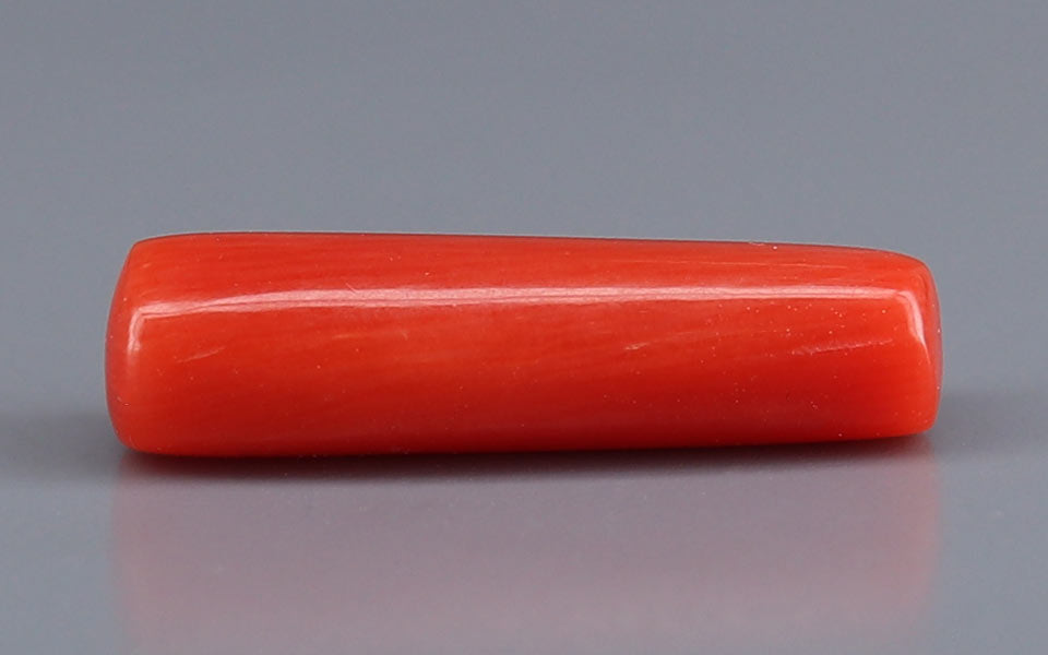 Red Coral - 6.19 Carat (6.84 Ratti - Moonga)