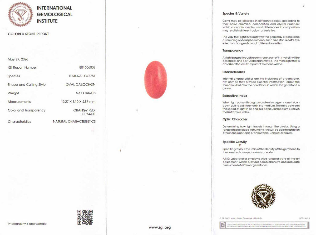 Red Coral - 5.41 Carat (5.98 Ratti - Moonga)