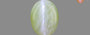 Alexandrite Cat's Eye - 9.52 Carat