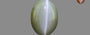Alexandrite Cat's Eye - 6.33 Carat