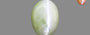 Alexandrite Cat's Eye - 5.30 Carat