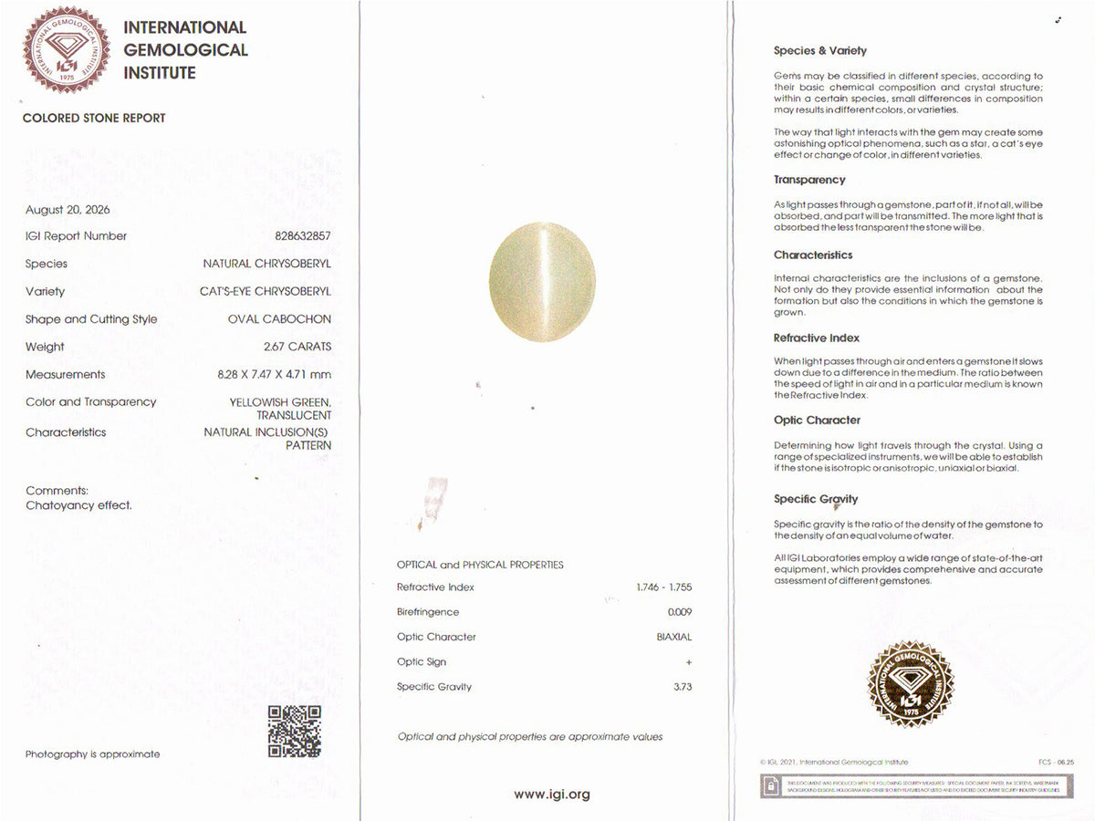 Cat's Eye - 2.67 Carat