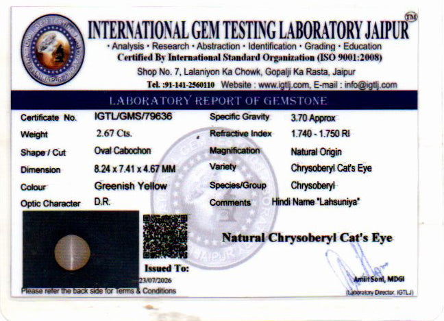Cat's Eye - 2.67 Carat