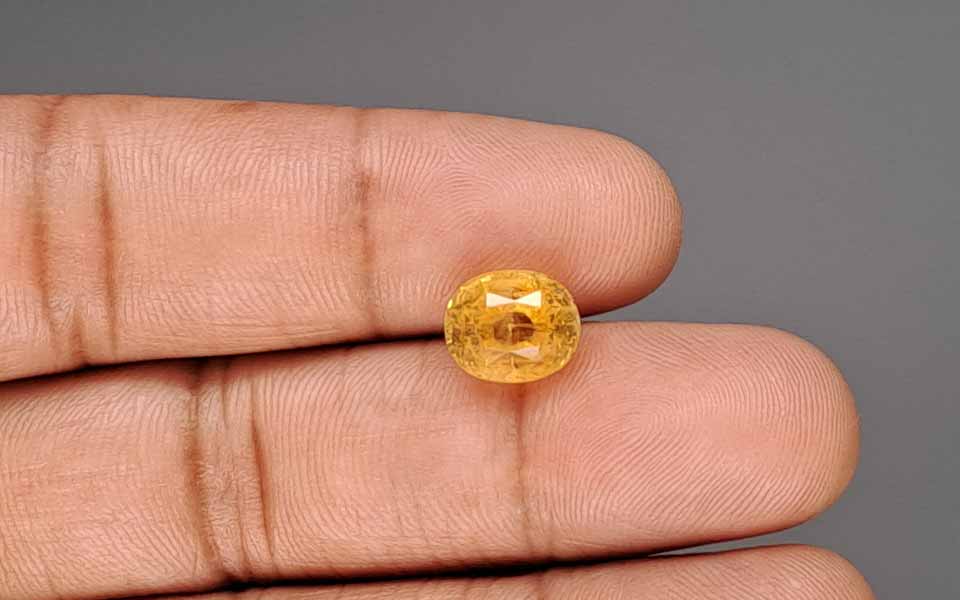 Yellow Sapphire - 5.66 Carat