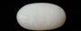 White Opal - 7.07 Carat