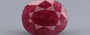 Ruby - 11.50 Carat
