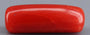 Red Coral - 5.80 Carat (6.41 Ratti - Moonga)