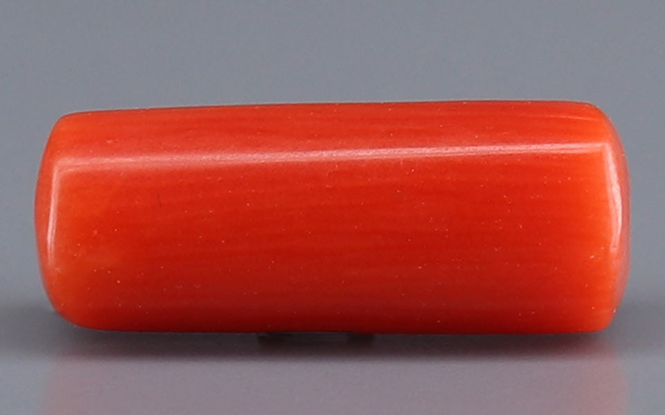 Red Coral - 3.43 Carat (3.79 Ratti - Moonga)