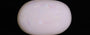 White Opal - 12.51 Carat