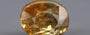 Yellow Zircon - 5.32 Carat