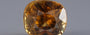 Yellow Zircon - 5.63 Carat