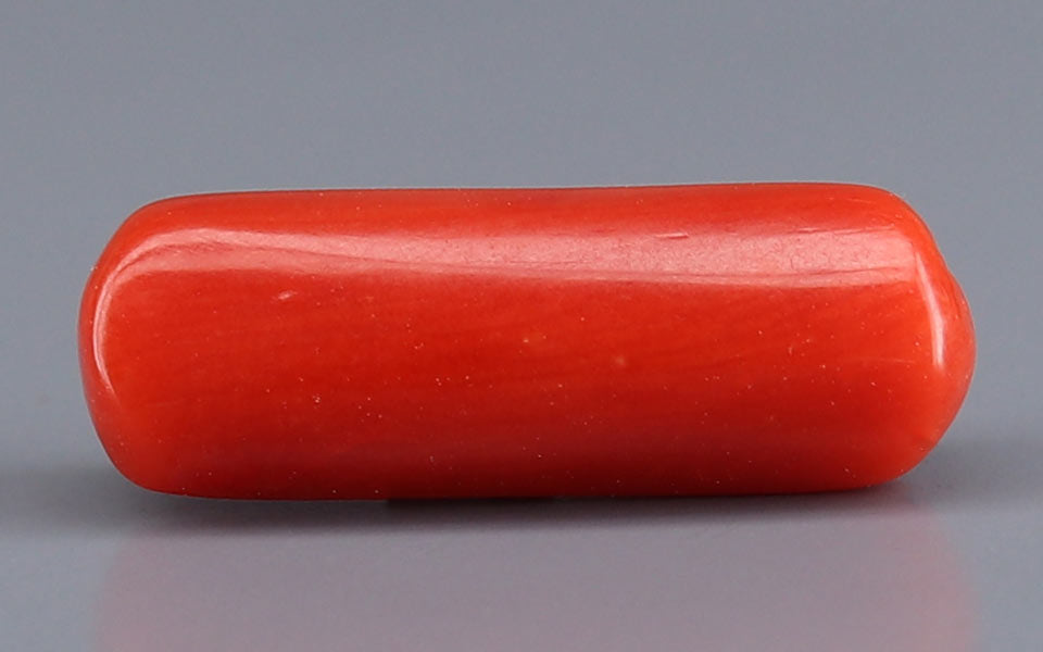 Red Coral - 5.72 Carat (6.32 Ratti - Moonga)
